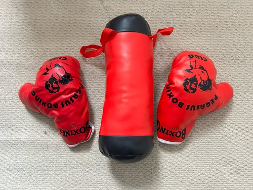 Kids boxing gloves - gloves, and