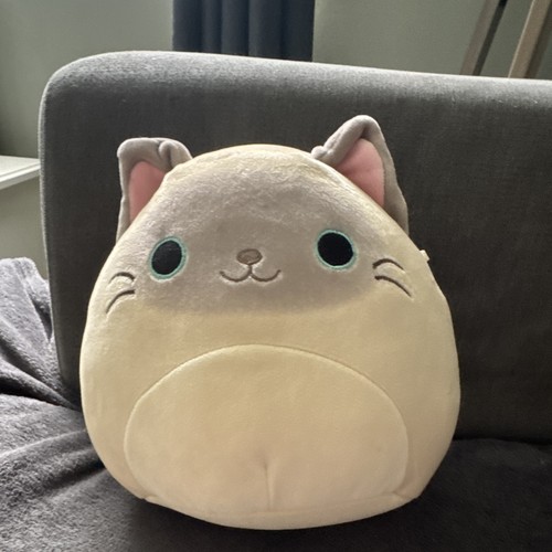 Beige siamese cat - cat, squishmallow