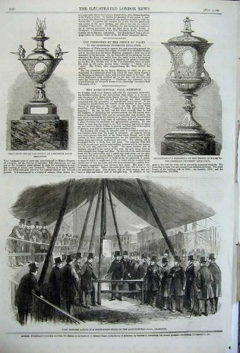 Old antique print - antique, casella