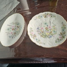 Two Aynsley Wild Tudor Plates