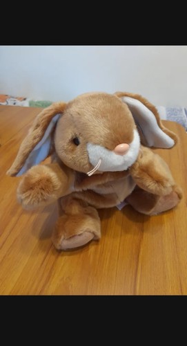 Beanie buddy baby ears - beanie,