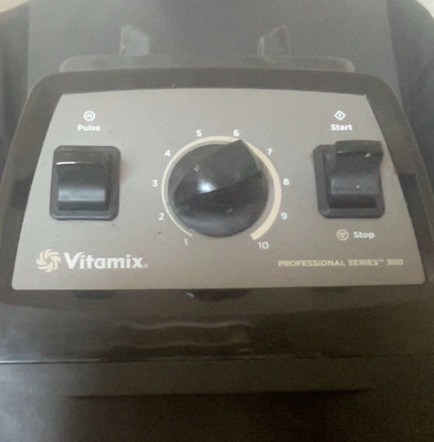 Vitamix blender professional