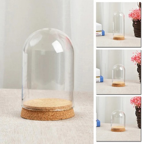 18cm clear glass - glass, dome