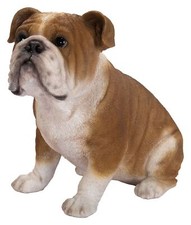 Vivid Arts Bulldog Dog -