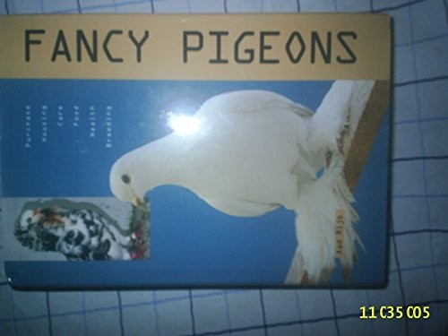 Fancy pigeons aad - rijs,, used