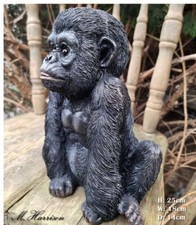 Adorable Young Silverback