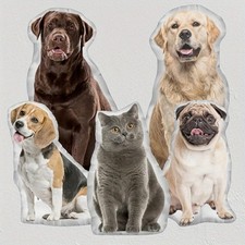 Personalized Pet Photo Pillow