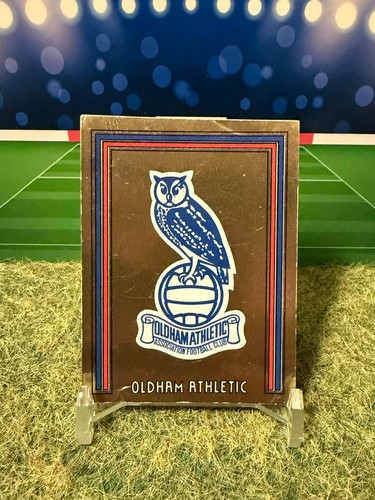Panini football sticker - 81,