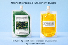 250ml Nannochloropsis Oculata