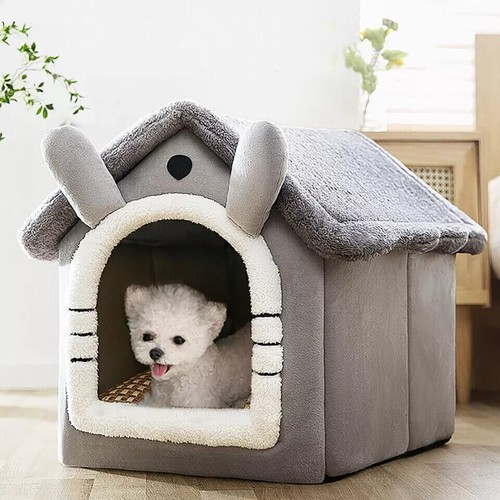 Pet cat kitten dog - kitten, beds