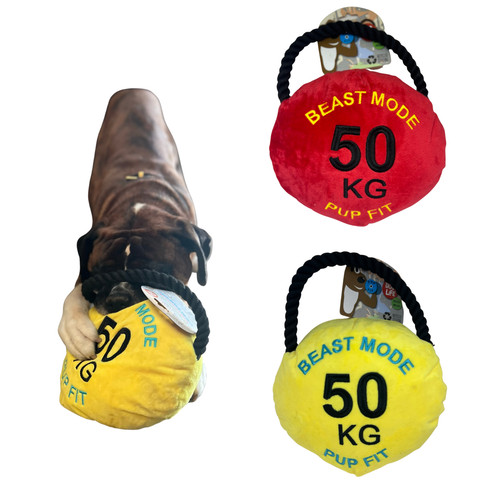 Dog toy pupfit kettle - toy,