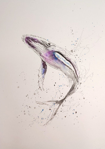Original whale size - original, a4