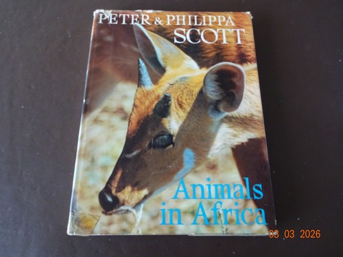 Animals africa peter - animals,