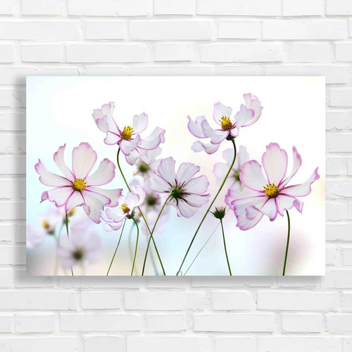 Floral flower discover the - floral,