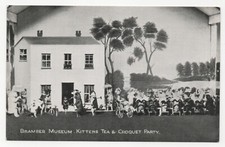 Kitten's Tea & Croquet Party, taxidermy Bramber Museum, macabre PPC. Unposted