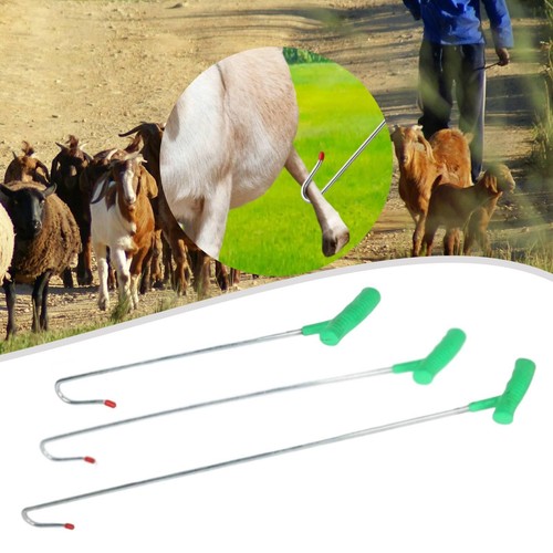 Sheep catcher metal practical - catcher,