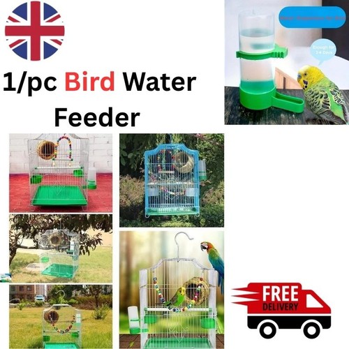 Bird water feeder - bird,