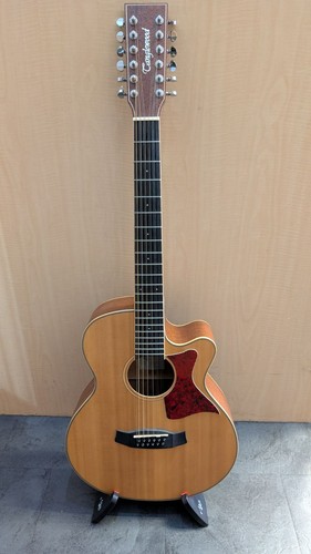 Tanglewood tw12ce 12 - tanglewood,