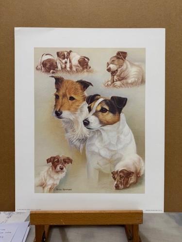 Nigel hemming terriers - hemming,