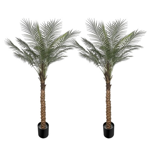 Pack 5ft artificial - 5ft,