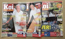 KOI PONDS GARDENS Koi Carp