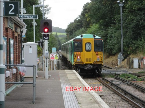 Photo southern emu 455832 - ,