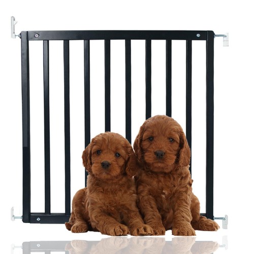 Bettacare wooden dog stair - wooden,