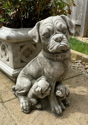 Boxer dog pups stone - dog, statue