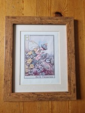 H for Herb Twopence Flower