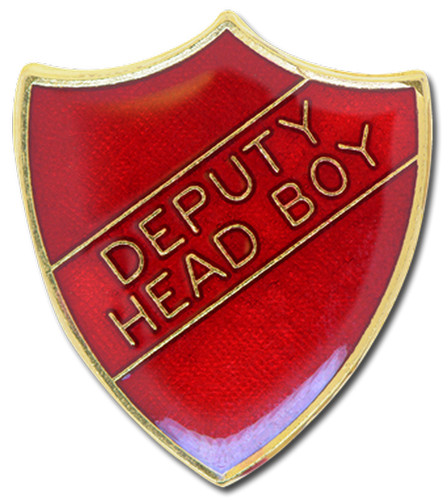Deputy head boy pin - head,