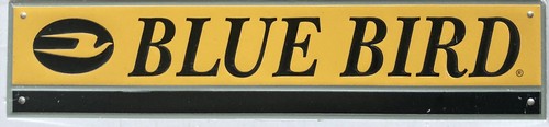 New blue bird school - bird, bus