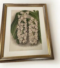 Vintage gold framed large