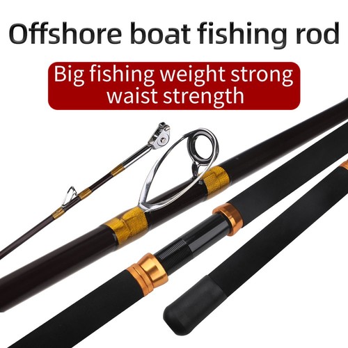 100lb boat fishing - 80-100lb,