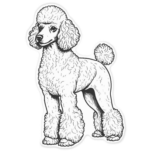 Standard poodle white - poodle', vinyl