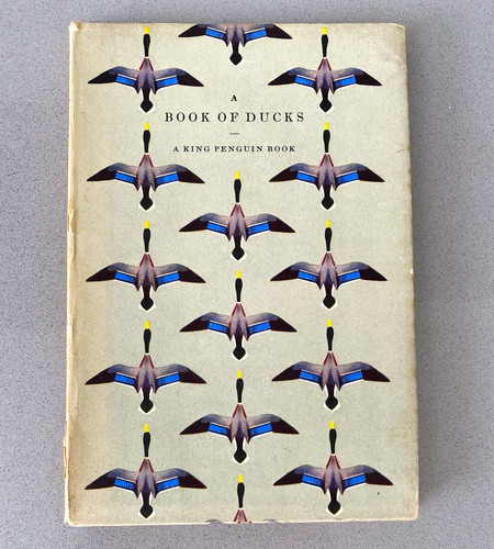 Book ducks - book, of