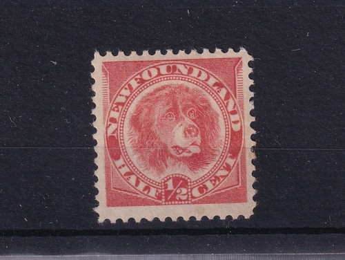 Newfoundland 1894 2c - qv,