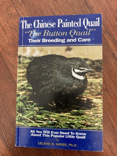 Signed chinese painted quail - signed,