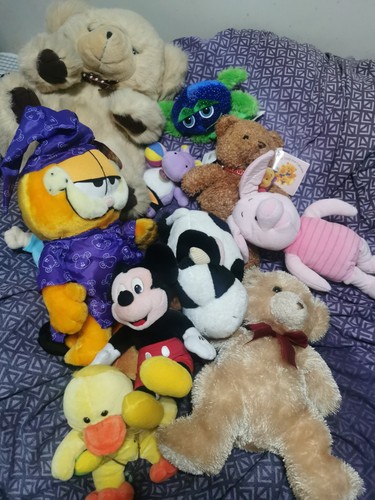 Vintage teddy collection - teddy,