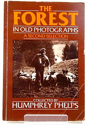 Second selection forest - second, (forest