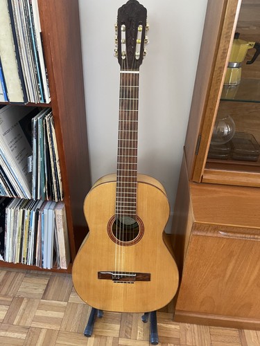 Giorgio amazonia 30 - giorgio,