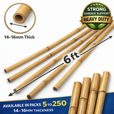 6ft Bamboo Garden Canes Plant