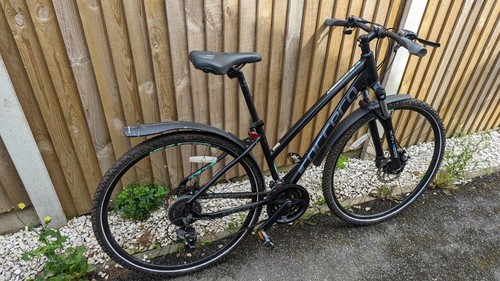 Carrera small female hybrid