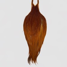 Whiting Bronze Brown Rooster