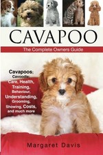 Cavapoo; Cavoodle; dogs