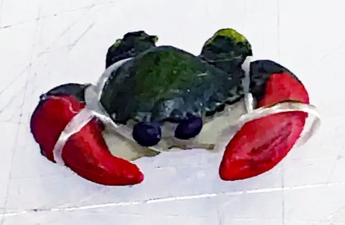 Dolls house medium crab shell - house,