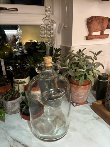 Demijohn wine mead home - demijohn, brew