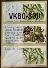 WINTER GREENERY 2nd Ma14