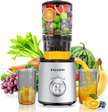 Cold Press Juicer Slow