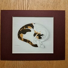 Edmund Dulac's Cat "Sophie" -