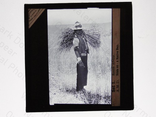 South africa native worker - south,